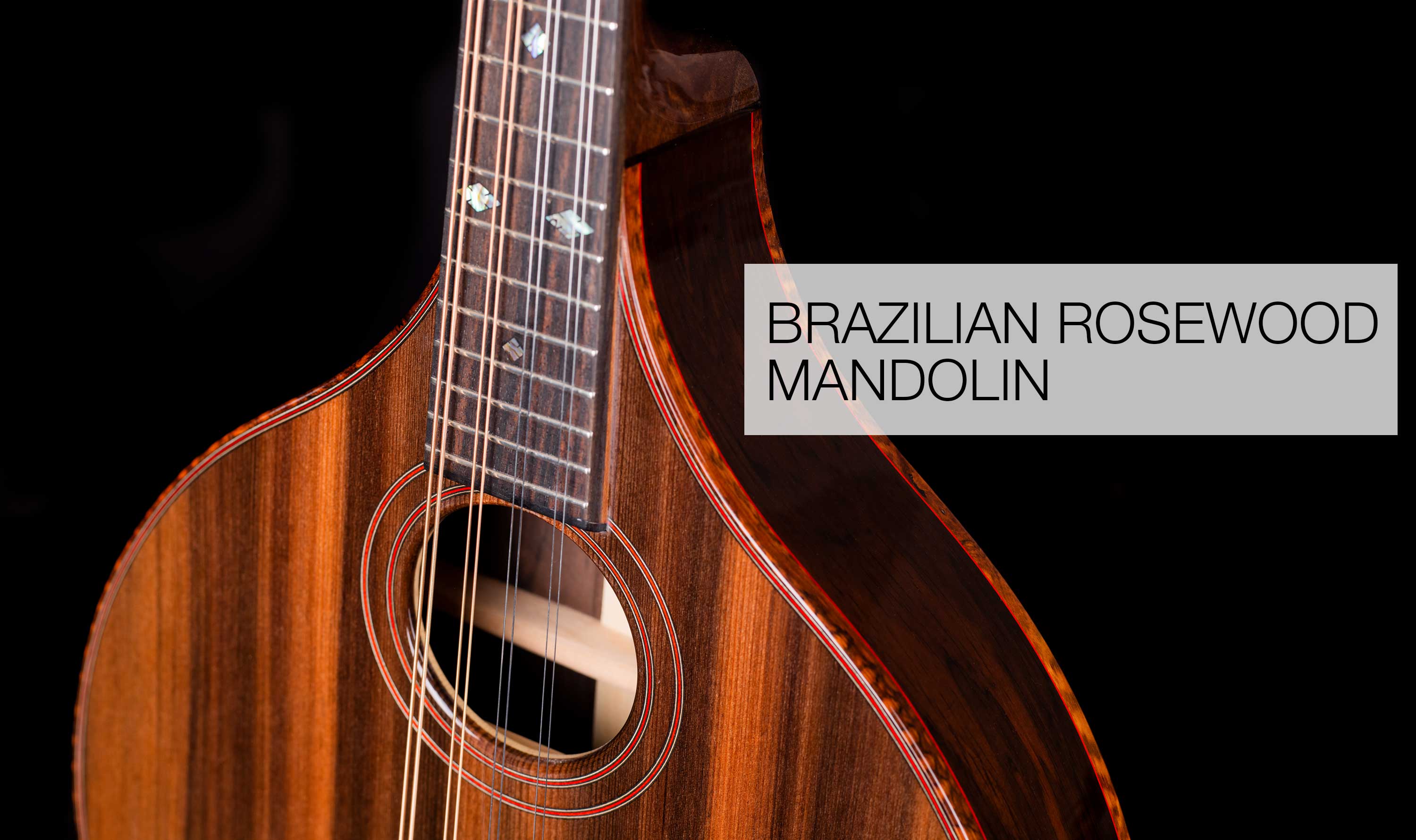 Custom Guitars | Brazilian Rosewood Mandolin | Fylde Guitars